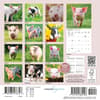 image Piglets 2027 Mini Wall Calendar First Alternate Image