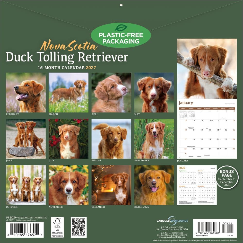 Nova Scotia Duck Tolling Retriever 2027 Wall Calendar First Alternate Image