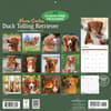 image Nova Scotia Duck Tolling Retriever 2027 Wall Calendar First Alternate Image