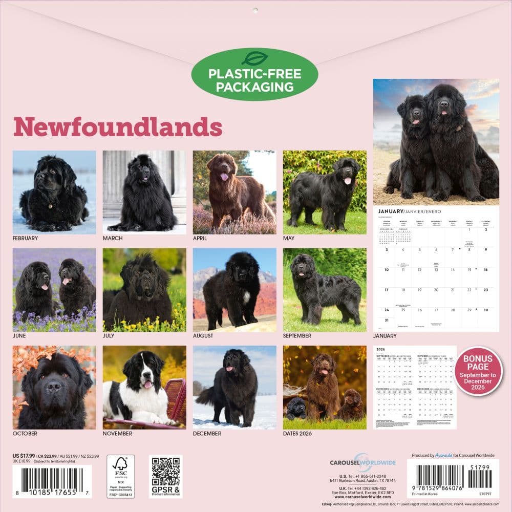 Newfoundlands 2027 Wall Calendar First Alternate Image