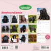 image Newfoundlands 2027 Wall Calendar First Alternate Image