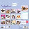 image Naptime 2027 Wall Calendar First Alternate Image