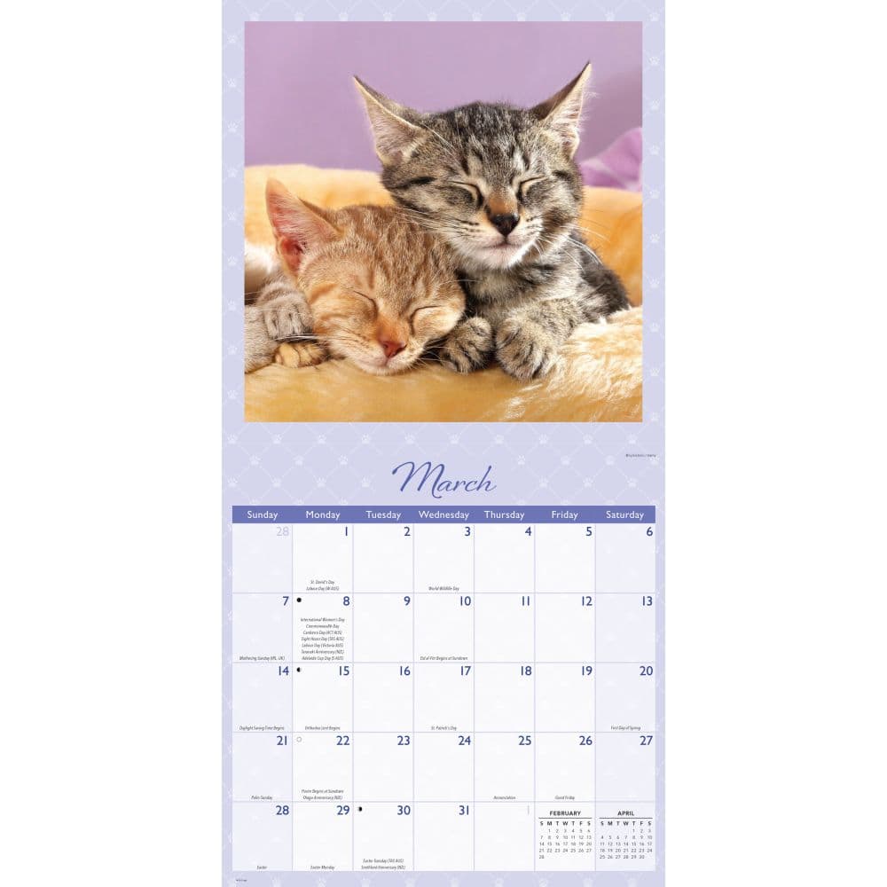 Naptime 2027 Wall Calendar Second Alternate Image