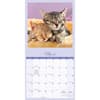 image Naptime 2027 Wall Calendar Second Alternate Image
