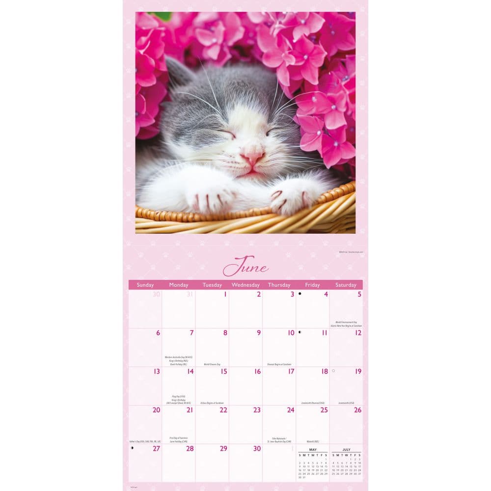 Naptime 2027 Wall Calendar Third Alternate Image