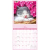 image Naptime 2027 Wall Calendar Third Alternate Image
