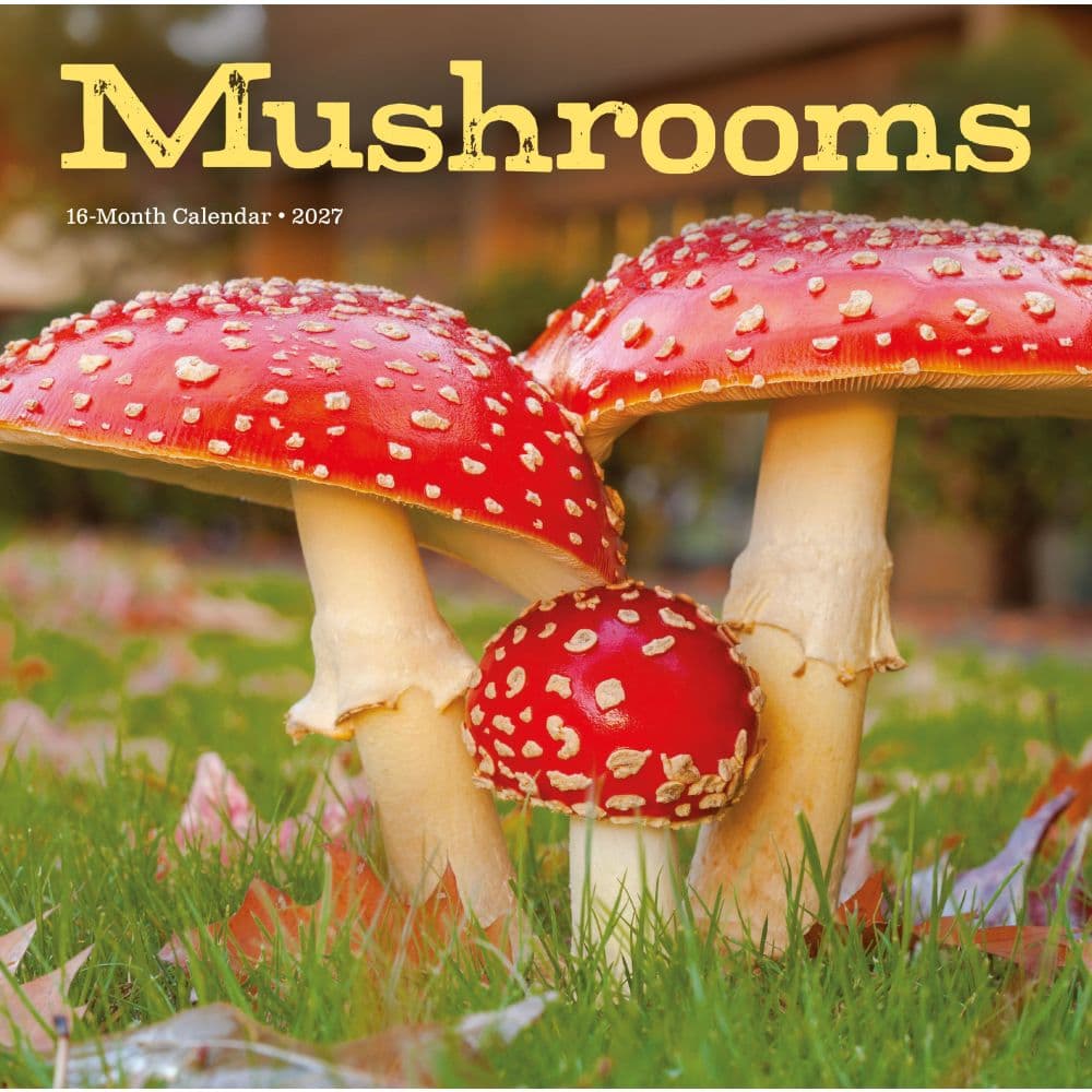 Mushrooms 2027 Wall Calendar Main Product Image