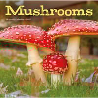 image Mushrooms 2027 Wall Calendar Main Product Image