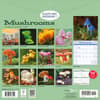 image Mushrooms 2027 Wall Calendar First Alternate Image