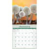 image Mushrooms 2027 Wall Calendar Second Alternate Image