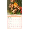 image Mushrooms 2027 Wall Calendar Fourth Alternate Image