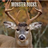 image Monster Bucks 2027 Wall Calendar Main Product Image