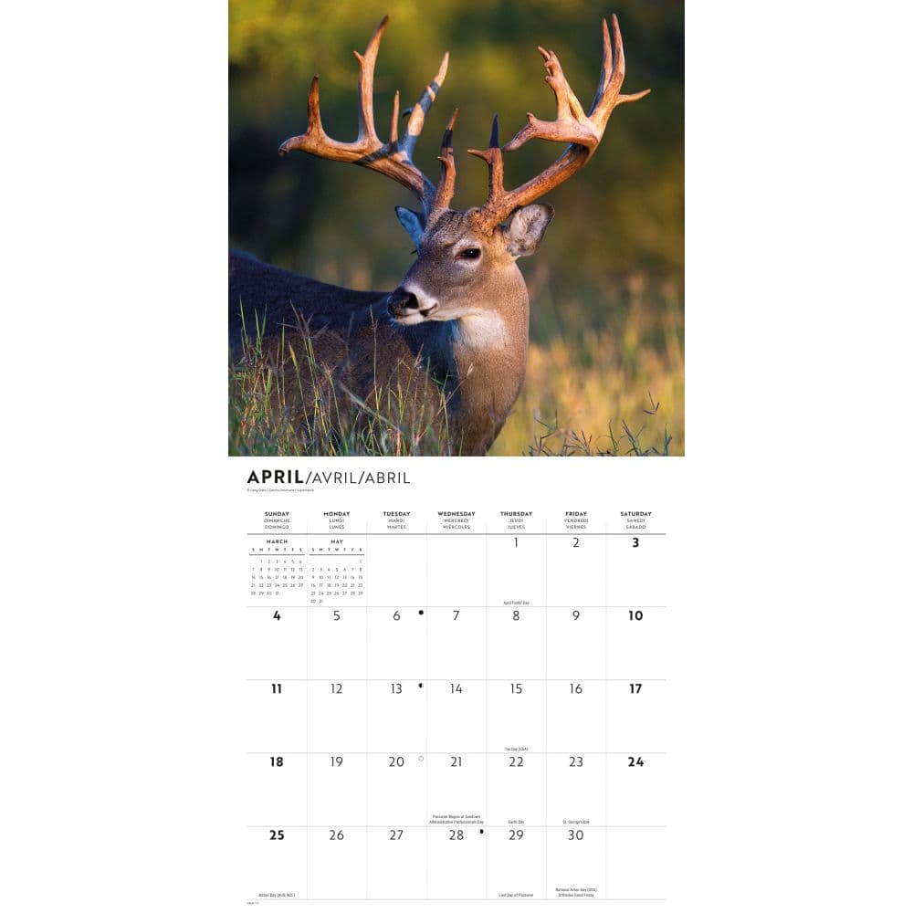 Monster Bucks 2027 Wall Calendar Second Alternate Image