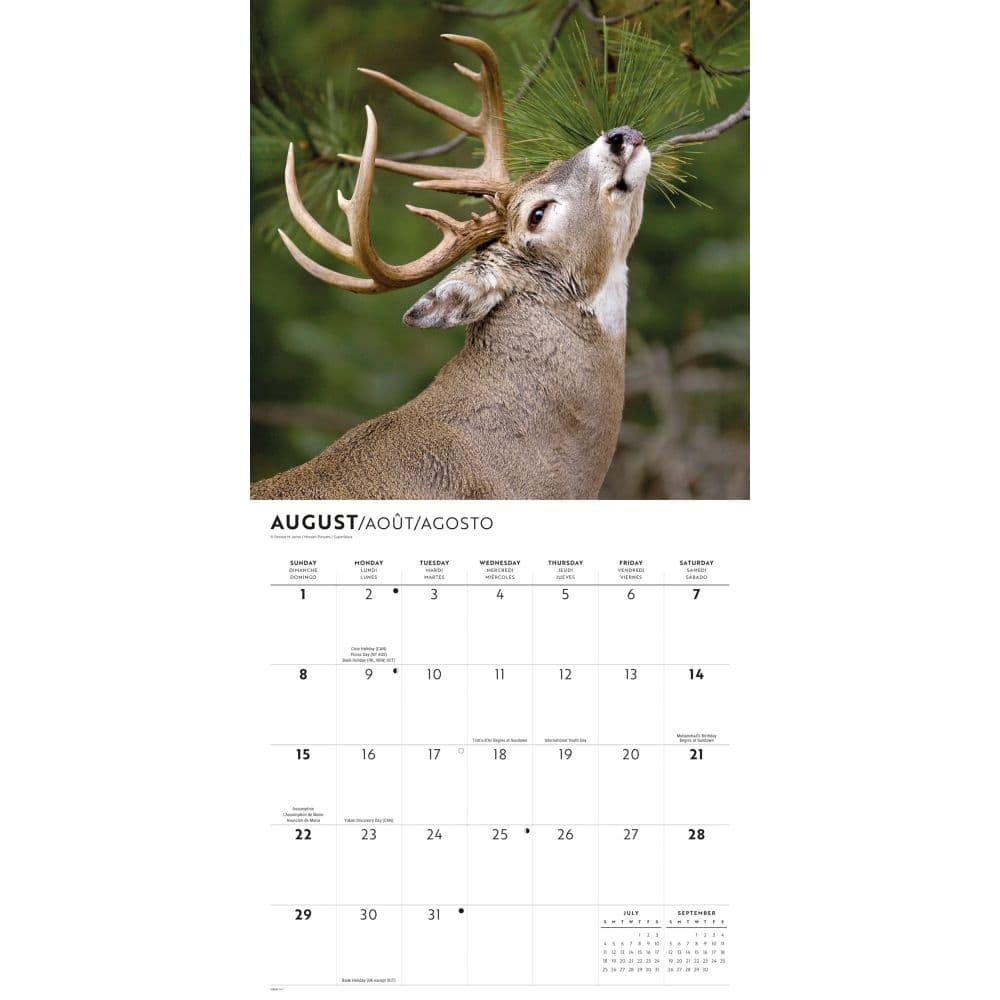 Monster Bucks 2027 Wall Calendar Third Alternate Image