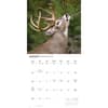 image Monster Bucks 2027 Wall Calendar Third Alternate Image