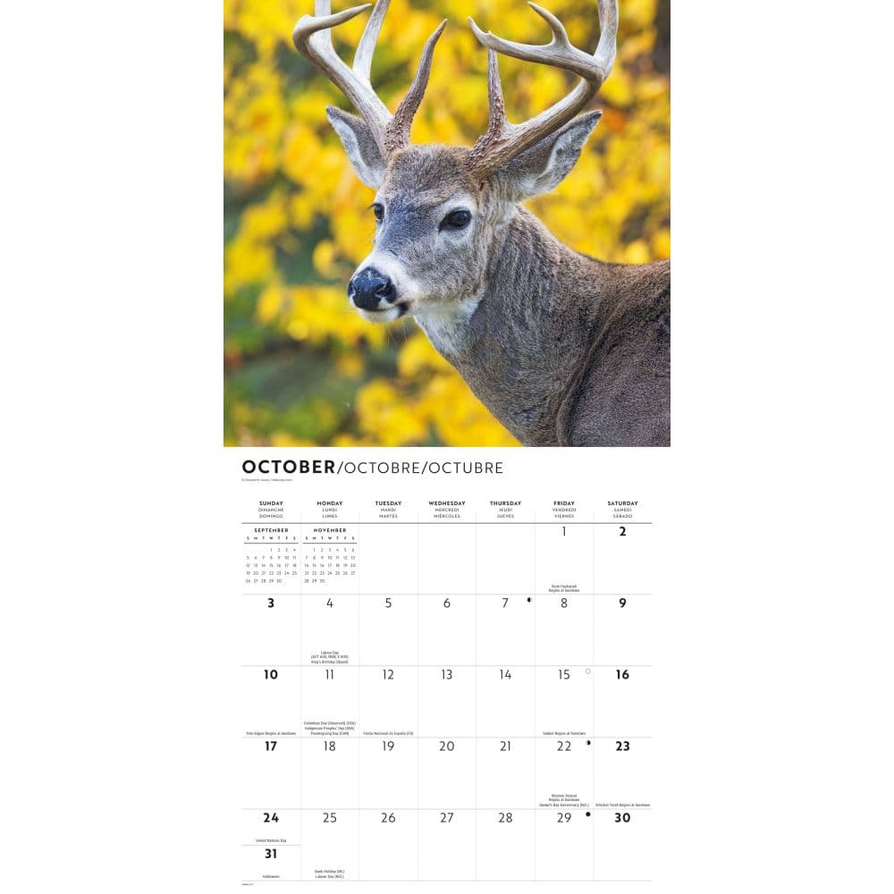 Monster Bucks 2027 Wall Calendar Fourth Alternate Image