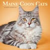 image Maine Coon Cats 2027 Wall Calendar Main Product Image