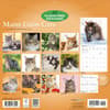 image Maine Coon Cats 2027 Wall Calendar First Alternate Image