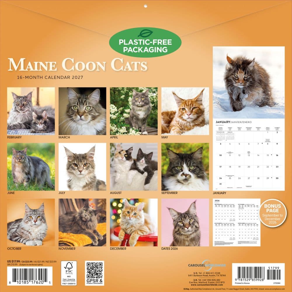 Maine Coon Cats 2027 Wall Calendar First Alternate Image