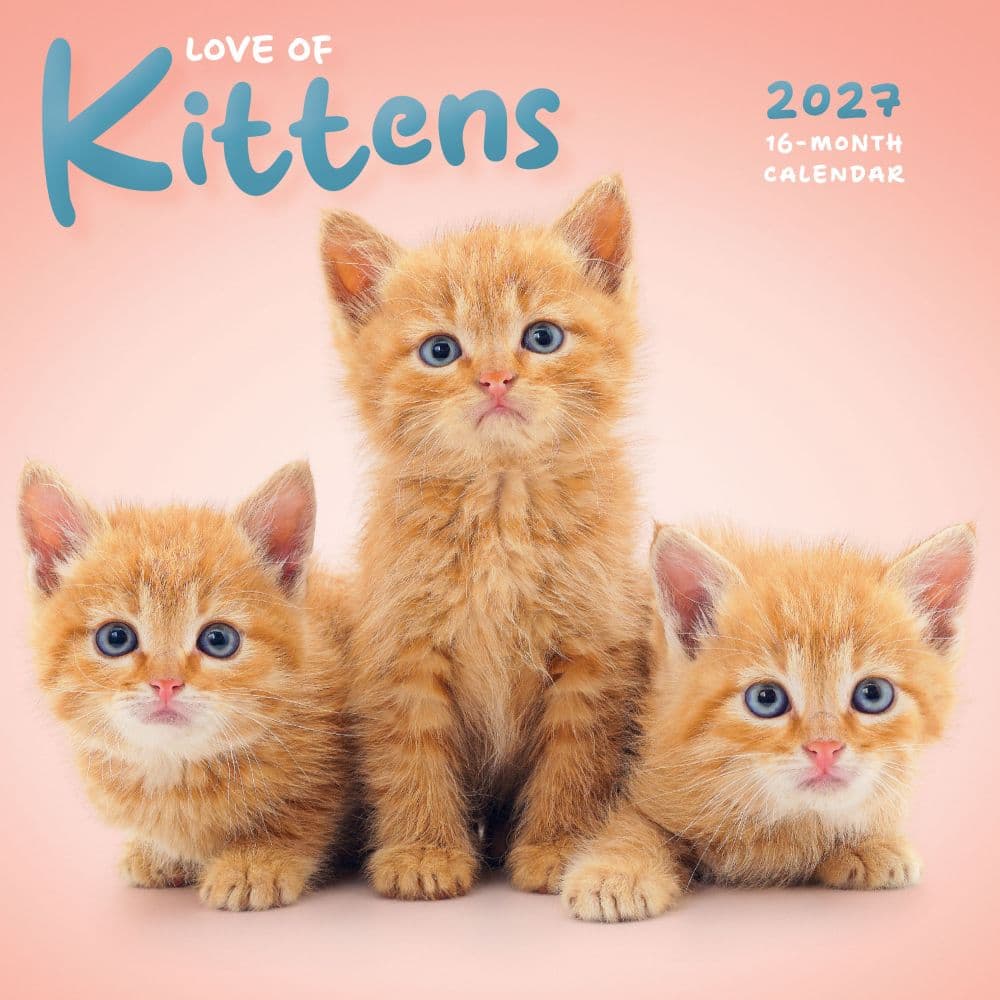 Love of Kittens 2027 Mini Wall Calendar Main Product Image