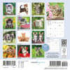 image Love of Kittens 2027 Mini Wall Calendar First Alternate Image