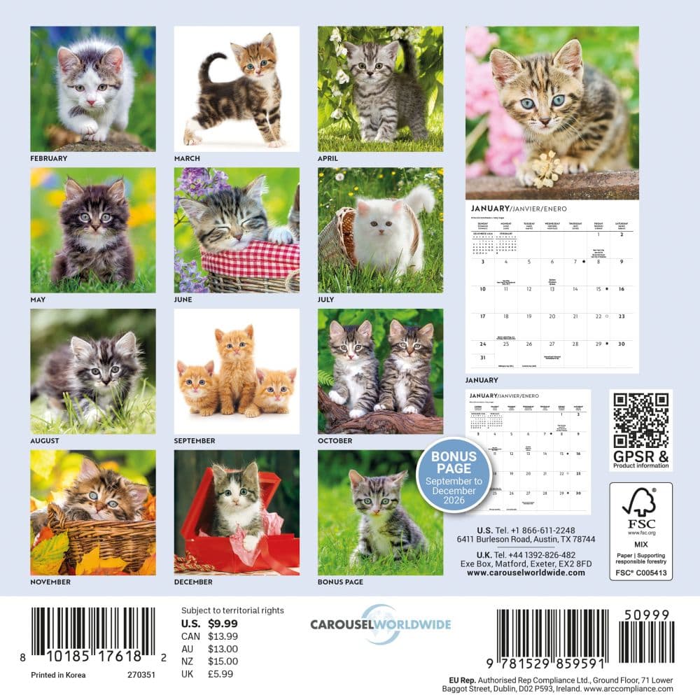 Love of Kittens 2027 Mini Wall Calendar First Alternate Image