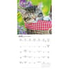 image Love of Kittens 2027 Mini Wall Calendar Third Alternate Image