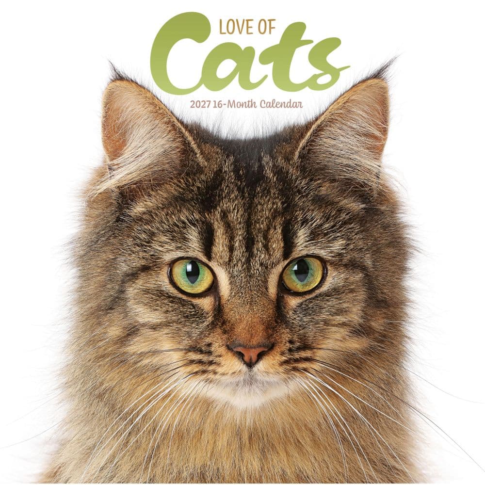 Love of Cats Plato 2027 Wall Calendar Main Product Image