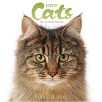 image Love of Cats Plato 2027 Wall Calendar Main Product Image