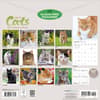 image Love of Cats Plato 2027 Wall Calendar First Alternate Image