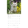 image Love of Cats Plato 2027 Wall Calendar Second Alternate Image