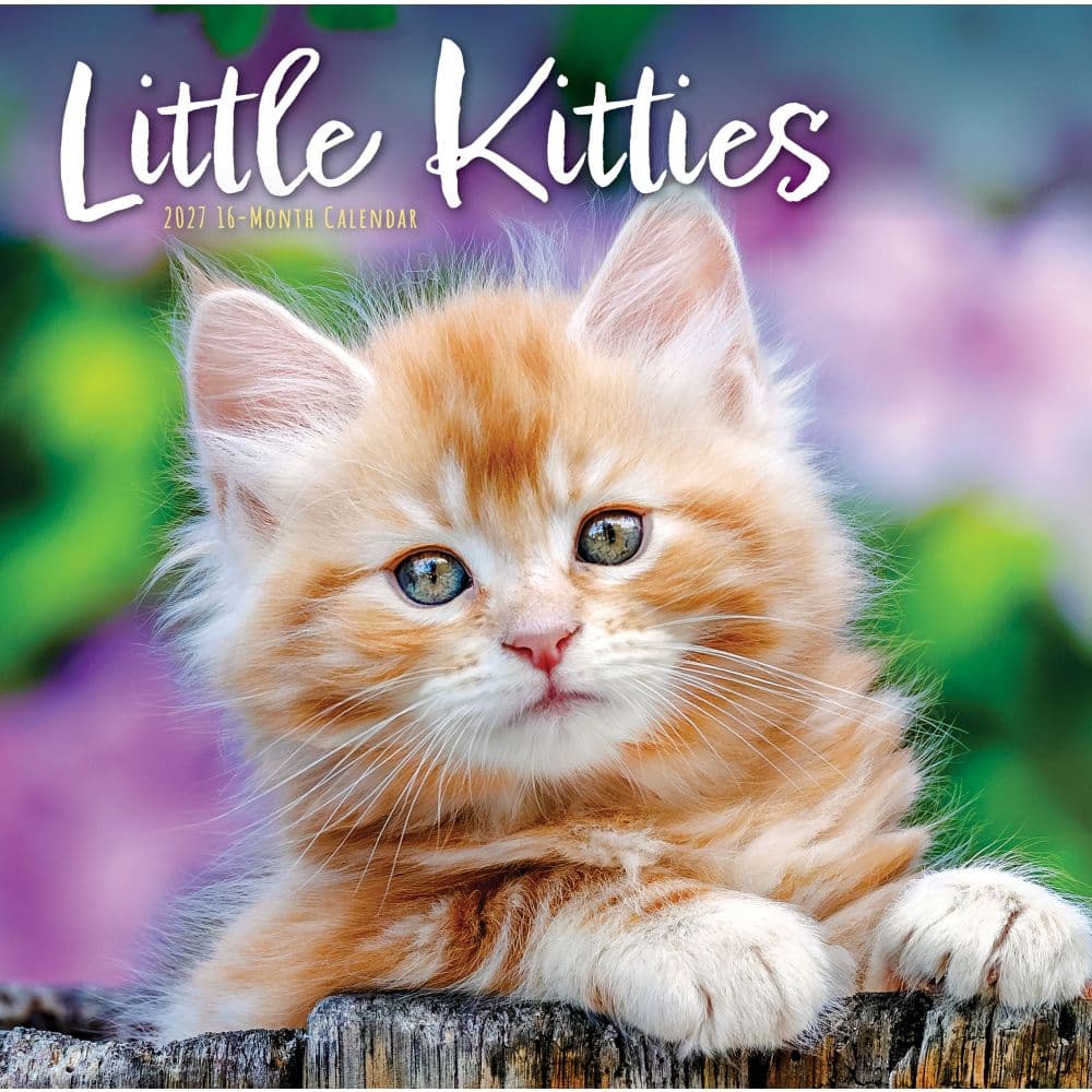 Kittens 2027 Wall Calendar Main Product Image