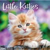 image Little Kitties 2027 Wall Calendar Main Product Image