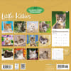 image Kittens 2027 Wall Calendar First Alternate Image