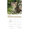 image Kittens 2027 Wall Calendar Second Alternate Image
