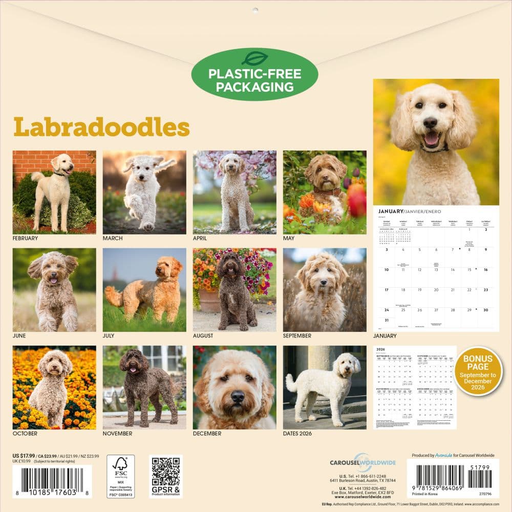 Labradoodles 2027 Wall Calendar First Alternate Image