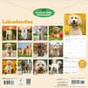 image Labradoodles 2027 Wall Calendar First Alternate Image