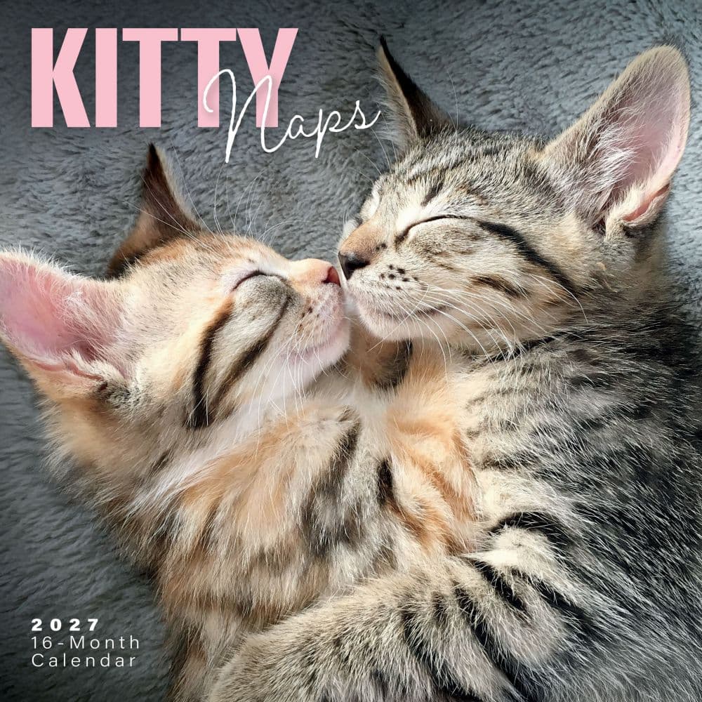 Kitty Naps 2027 Wall Calendar Main Product Image