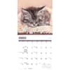 image Kitty Naps 2027 Wall Calendar Second Alternate Image