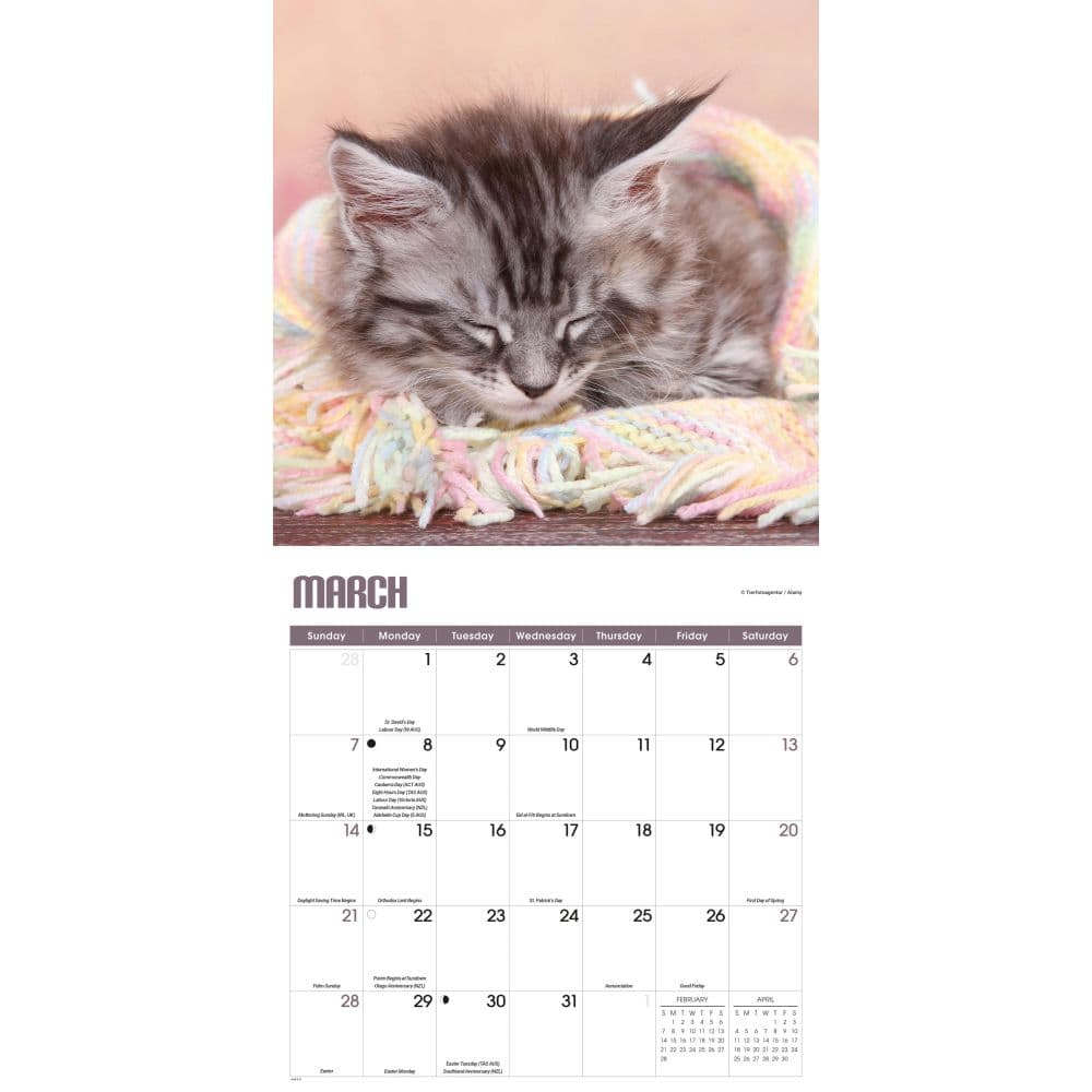 Kitty Naps 2027 Wall Calendar Second Alternate Image