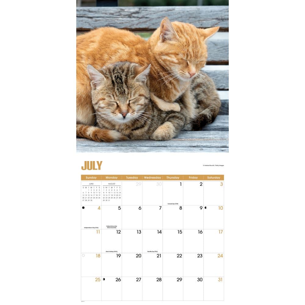 Kitty Naps 2027 Wall Calendar Third Alternate Image