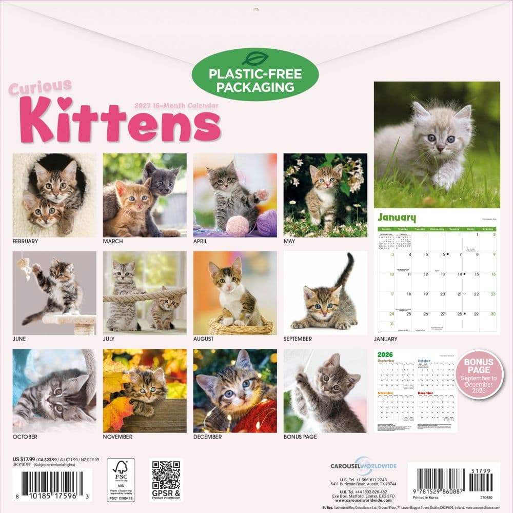 Curious Kittens 2027 Wall Calendar First Alternate Image