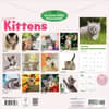 image Curious Kittens 2027 Wall Calendar First Alternate Image