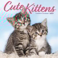 image Kittens Cute 2027 Wall Calendar Main Product Image