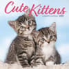 image Kittens Cute 2027 Wall Calendar Main Product Image
