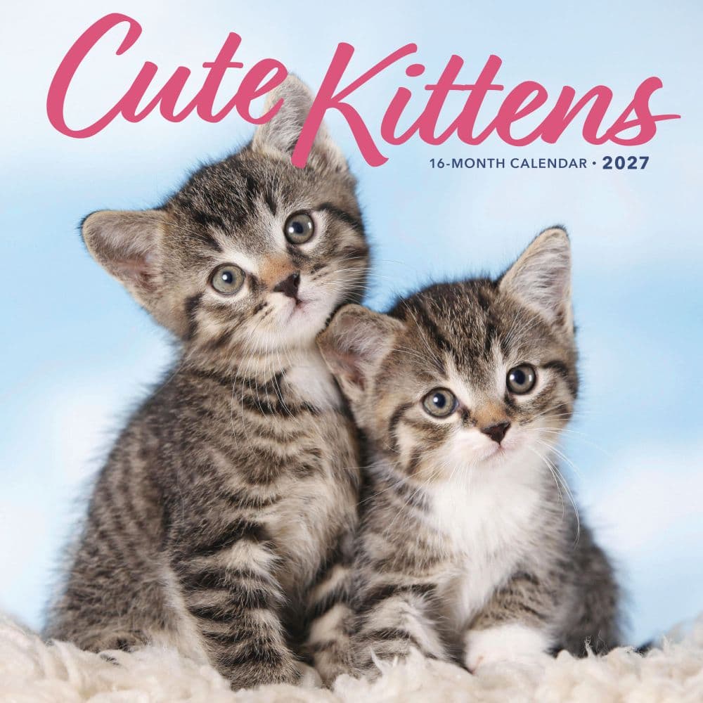 image Kittens Cute 2027 Wall Calendar Main Product Image
