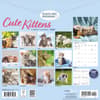image Cute Kittens 2027 Wall Calendar First Alternate Image