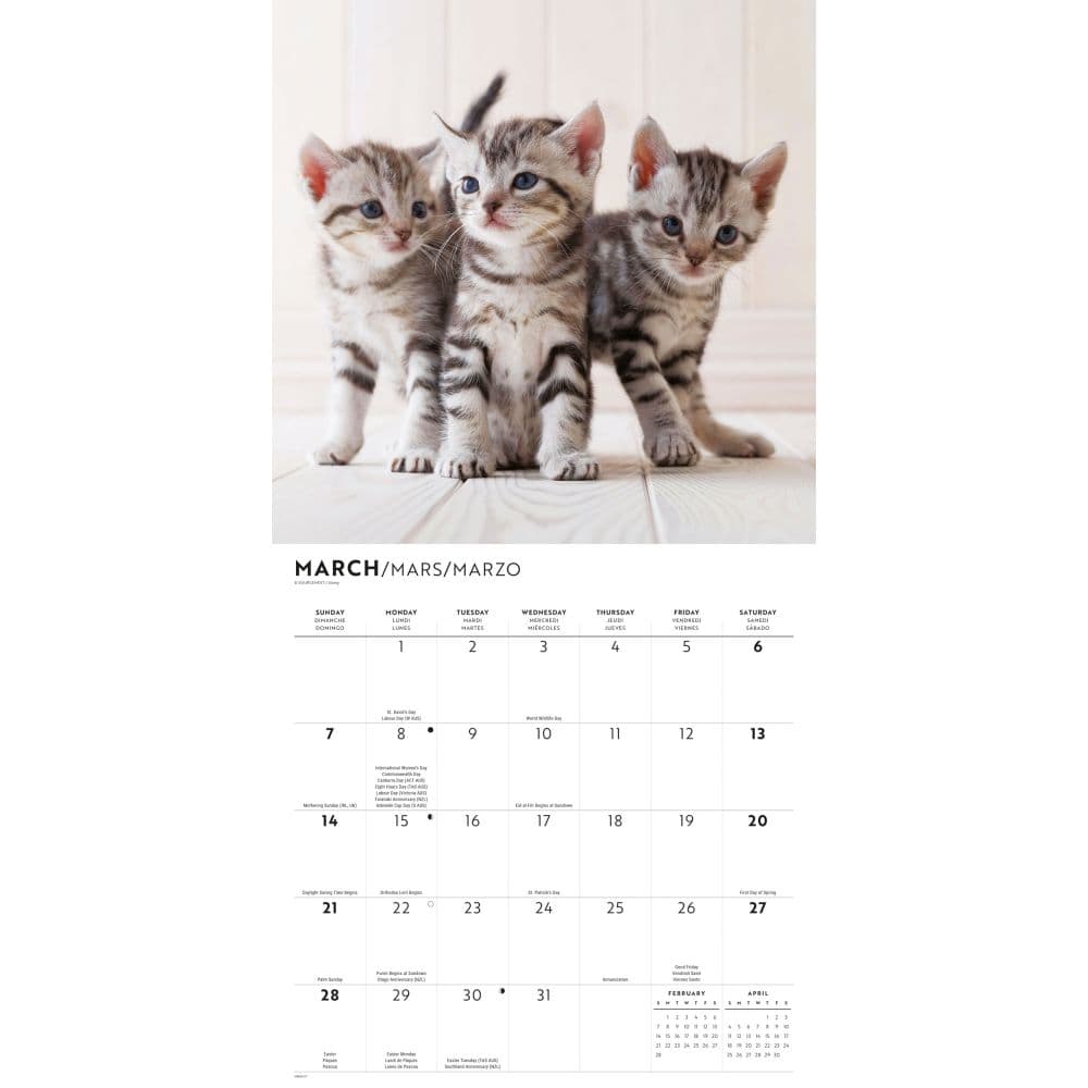 Cute Kittens 2027 Wall Calendar Second Alternate Image