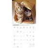 image Cute Kittens 2027 Wall Calendar Fourth Alternate Image