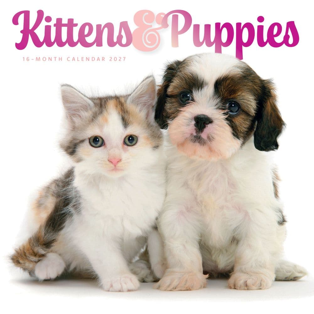 Kittens and Puppies 2027 Wall Calendar Main Product Image